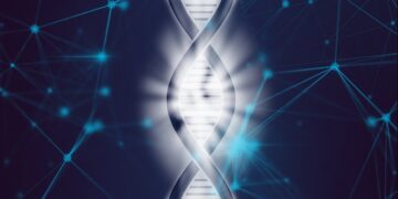 すべては遺伝で決まる？遺伝子に関する新しい考察