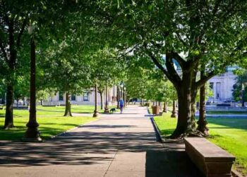 あまり知られていない意外な事実