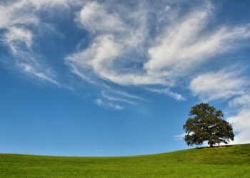 真実を知る事の重要性