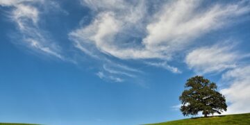 真実を知る事の重要性