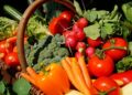 有機野菜の危険性と無農薬の正しい農法