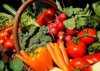 有機野菜の危険性と無農薬の正しい農法