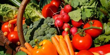 有機野菜の危険性と無農薬の正しい農法